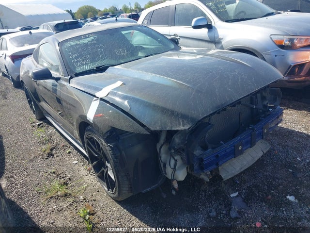 12259827 :رقم المزاد ، 1FA6P8TH6F5378699 vin ، 2015 Ford Mustang مزاد بيع