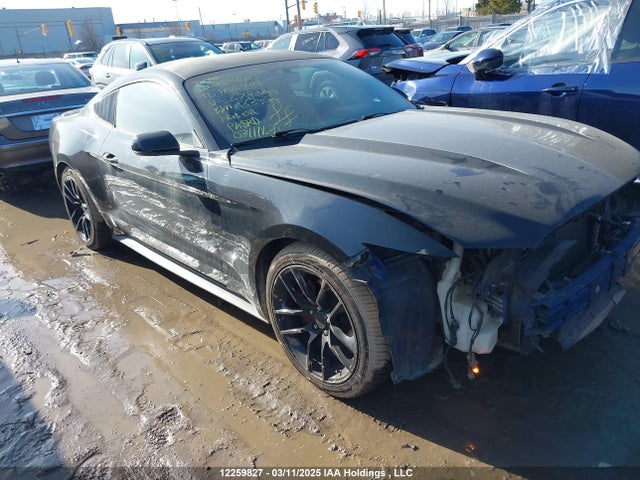 12259827 :رقم المزاد ، 1FA6P8TH6F5378699 vin ، 2015 Ford Mustang مزاد بيع