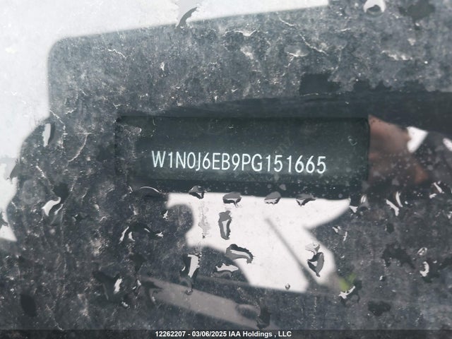 W1N0J6EB9PG151665 Mercedes-Benz m276