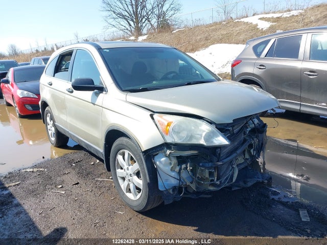 Aukcja sprzedaży 2007 Honda Cr-v Ex, vin: 5J6RE48507L812031, numer aukcji: 12262428