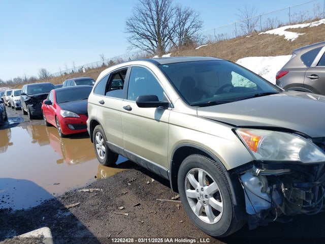 Aukcja sprzedaży 2007 Honda Cr-v Ex, vin: 5J6RE48507L812031, numer aukcji: 12262428