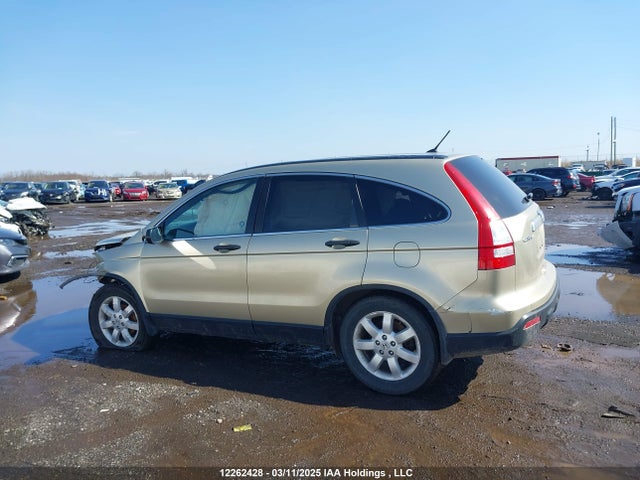 Aukcja sprzedaży 2007 Honda Cr-v Ex, vin: 5J6RE48507L812031, numer aukcji: 12262428