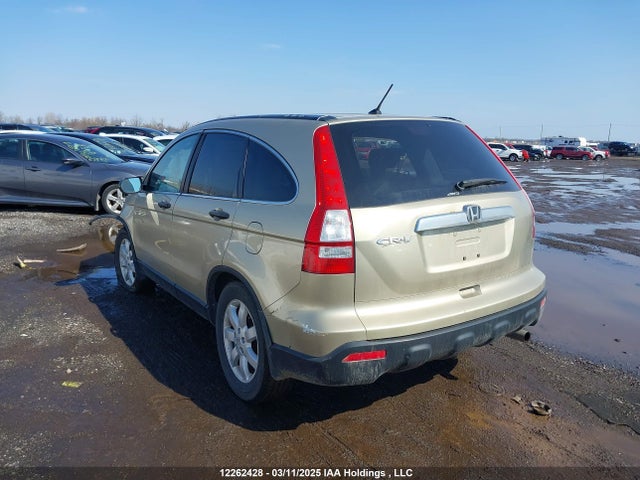 Aukcja sprzedaży 2007 Honda Cr-v Ex, vin: 5J6RE48507L812031, numer aukcji: 12262428