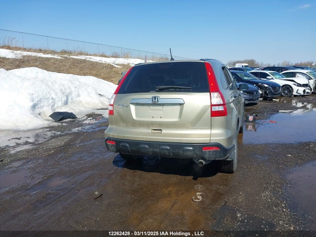Aukcja sprzedaży 2007 Honda Cr-v Ex, vin: 5J6RE48507L812031, numer aukcji: 12262428