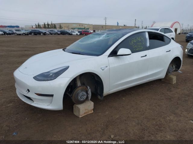 5YJ3E1EA4PF485230 Tesla MODEL 3