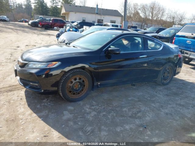 1HGCT2A94GA800156 Honda Accord Touring
