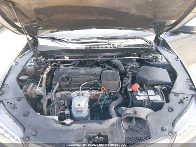 19UUB1F58FA801316 Acura k24w7