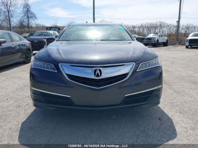 19UUB1F58FA801316 Acura k24w7