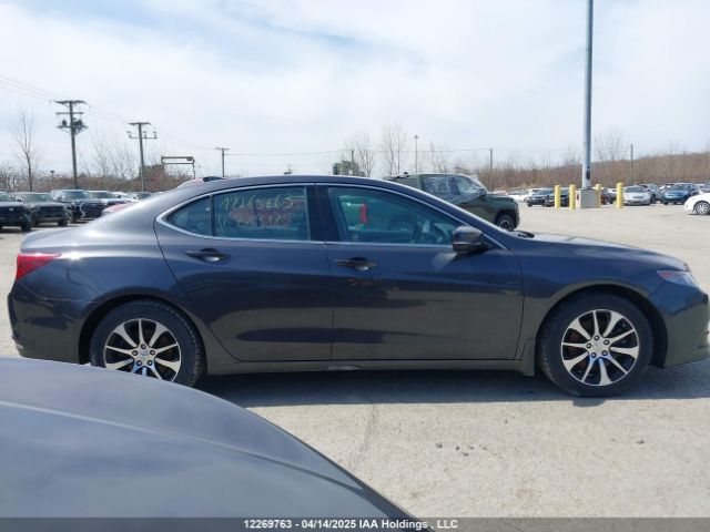 19UUB1F58FA801316 Acura k24w7
