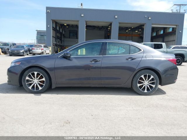 19UUB1F58FA801316 Acura k24w7