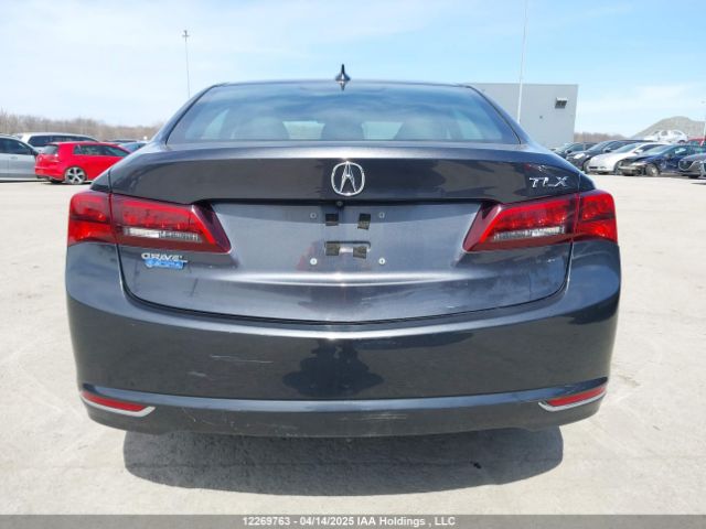 19UUB1F58FA801316 Acura k24w7