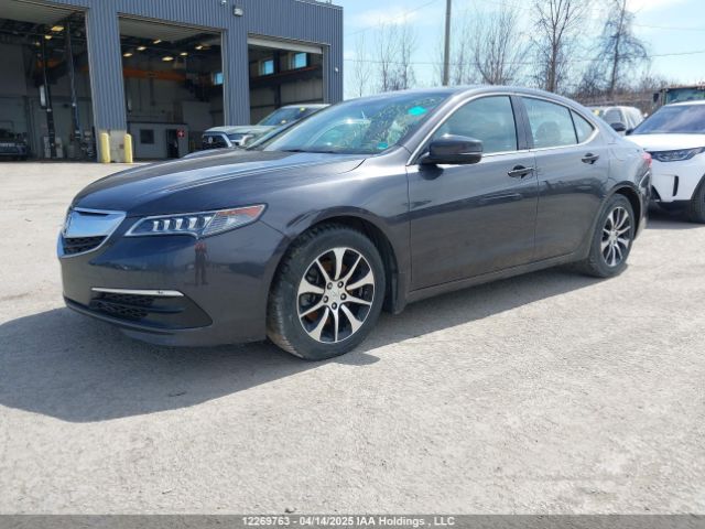 19UUB1F58FA801316 Acura k24w7