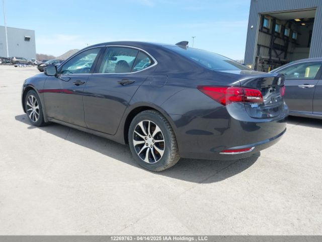 19UUB1F58FA801316 Acura k24w7