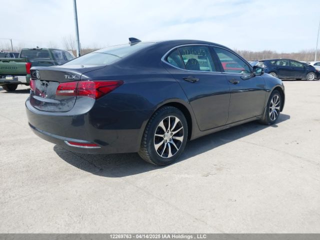 19UUB1F58FA801316 Acura k24w7