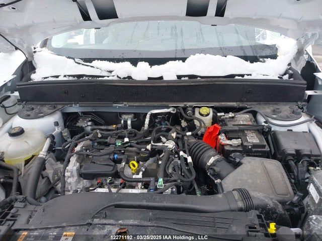 3FMCR9B6XRRF06761 Ford dragon