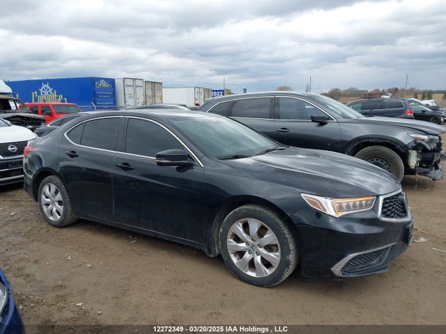 19UUB1F5XJA801388 Acura k24w7