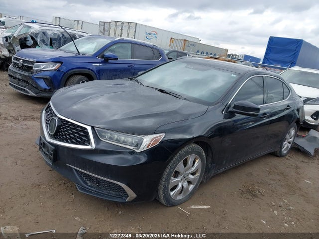19UUB1F5XJA801388 Acura k24w7