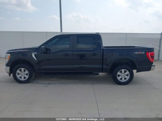 1FTEW1EB2NKF12312 Ford F-150