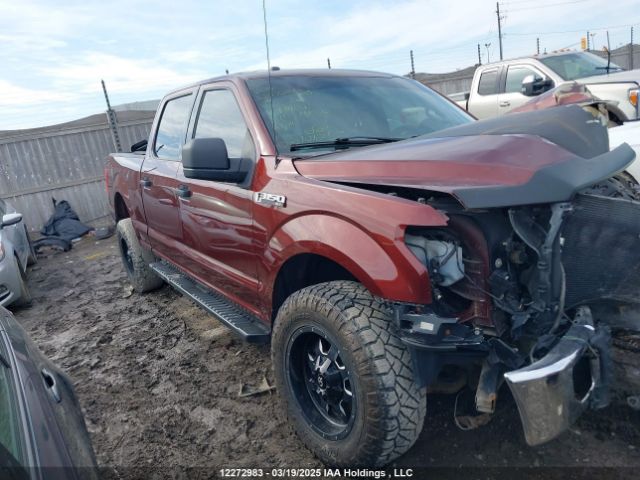 1FTFW1EF9FKE91094 Ford F-150 Xlt