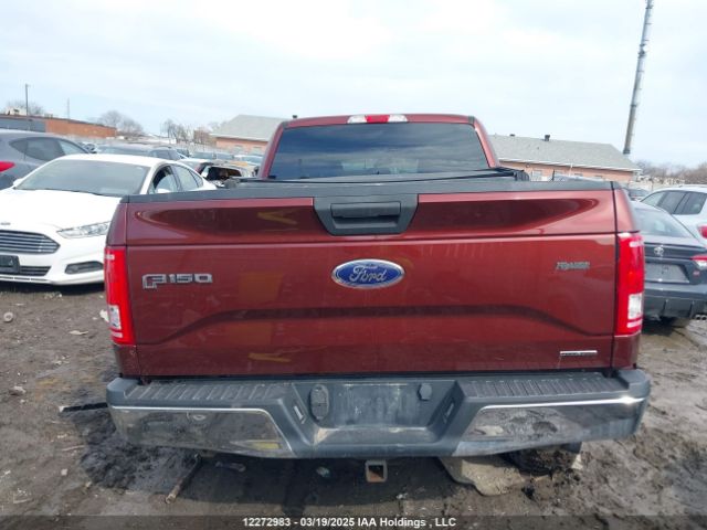 1FTFW1EF9FKE91094 Ford F-150 Xlt