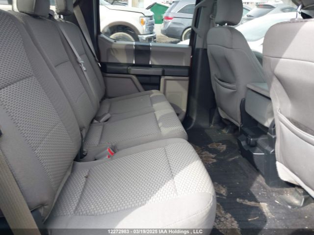 1FTFW1EF9FKE91094 Ford F-150 Xlt
