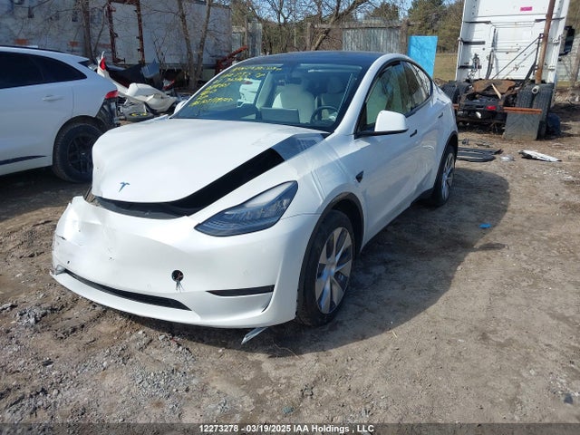 Продаж на аукціоні авто 2021 Tesla Model Y Long Range, vin: 5YJYGDEE7MF089101, номер лоту: 12273278