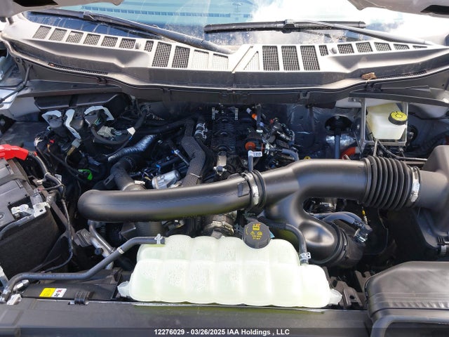 1FTFW3L83RKE99017 Ford F-150