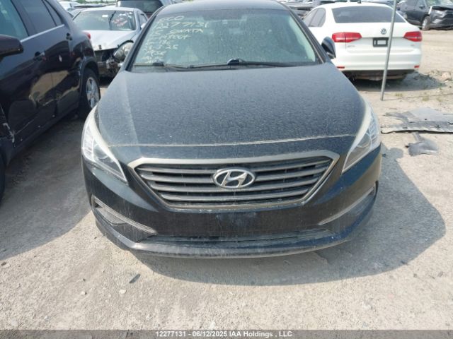 5NPE24AF7FH198064 Hyundai SONATA SE