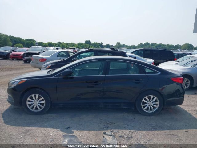 5NPE24AF7FH198064 Hyundai SONATA SE