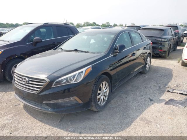 5NPE24AF7FH198064 Hyundai SONATA SE