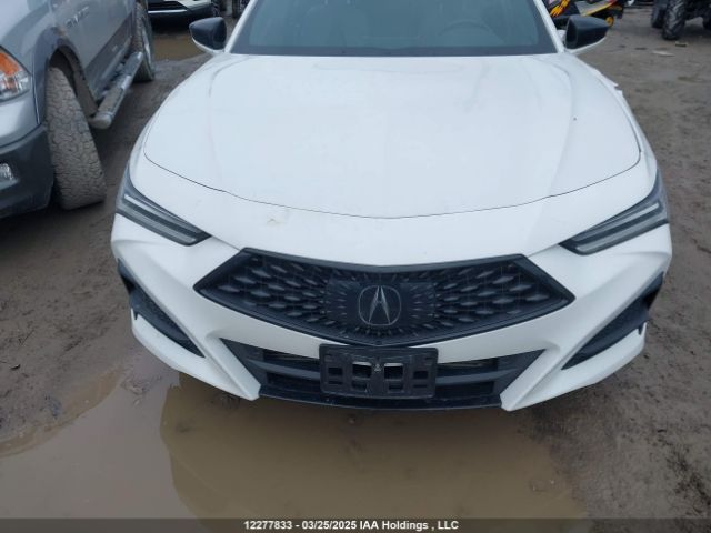 19UUB6F51MA802379 Acura k20c6