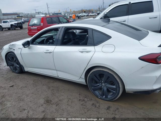 19UUB6F51MA802379 Acura k20c6