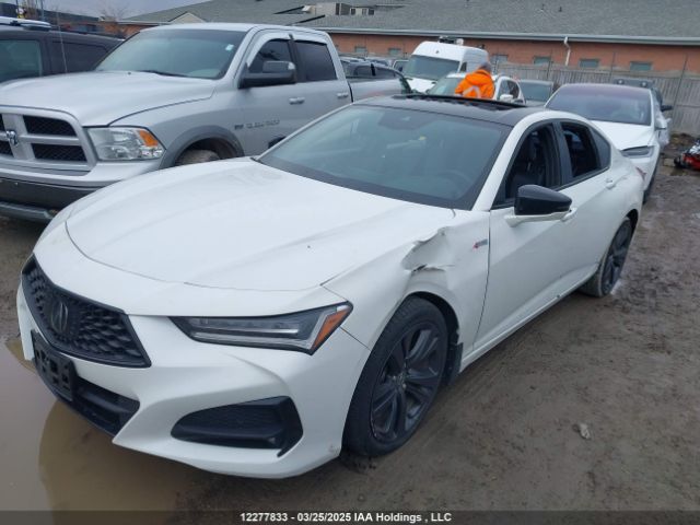 19UUB6F51MA802379 Acura k20c6