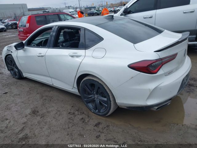 19UUB6F51MA802379 Acura k20c6