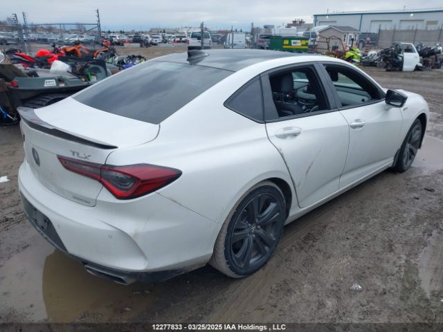 19UUB6F51MA802379 Acura k20c6