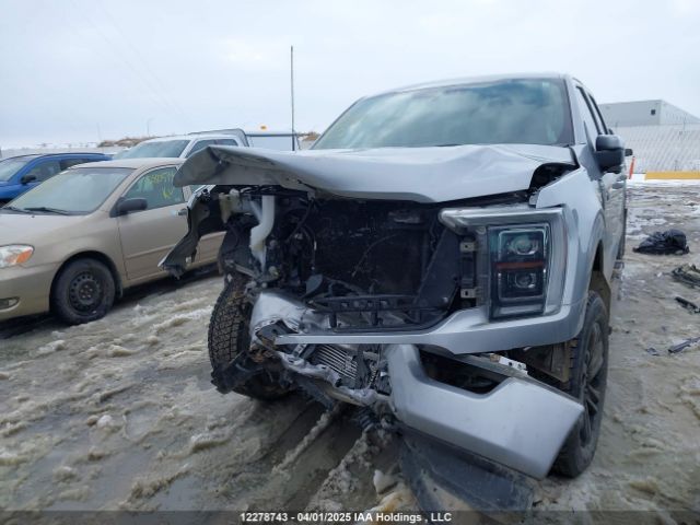 1FTFW1E81MKE50599 Ford F150 Supercrew