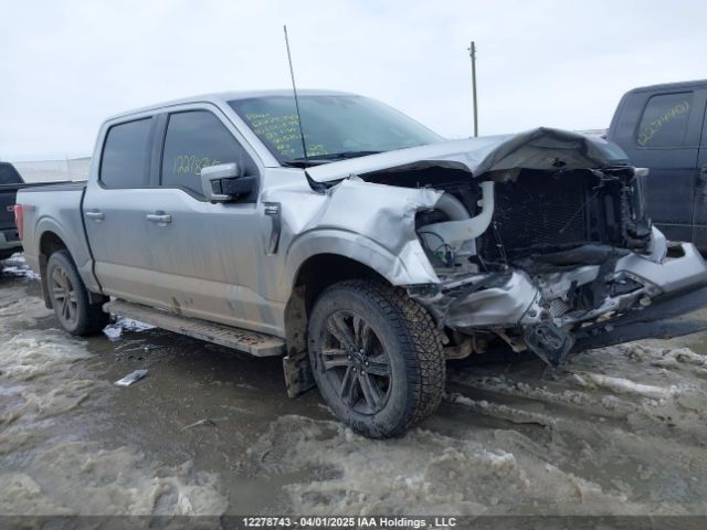 1FTFW1E81MKE50599 Ford F150 Supercrew