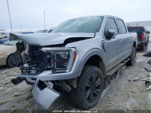 1FTFW1E81MKE50599 Ford F150 Supercrew