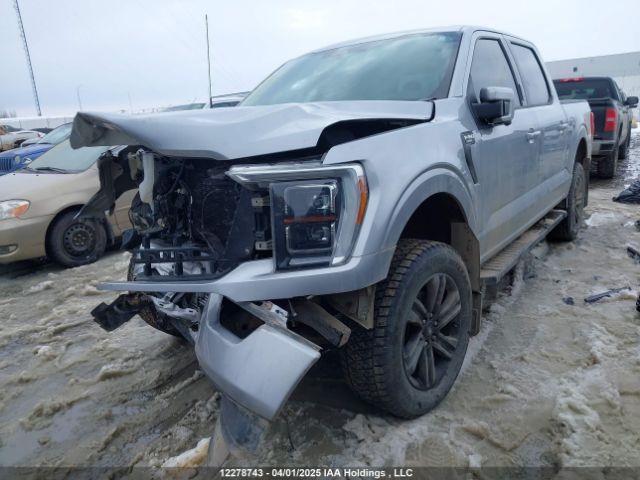 1FTFW1E81MKE50599 Ford F150 Supercrew
