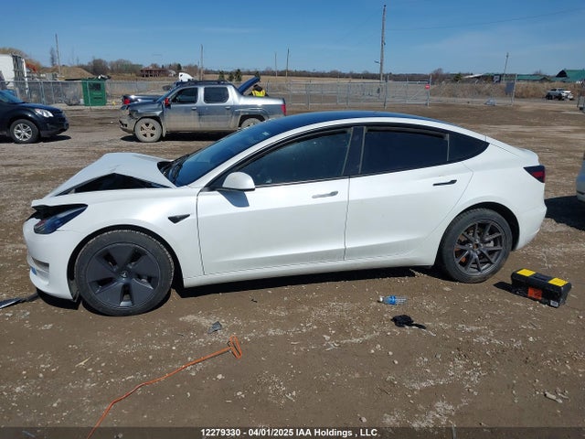 12279330 :رقم المزاد ، 5YJ3E1EA4PF482845 vin ، 2023 Tesla Model 3 مزاد بيع