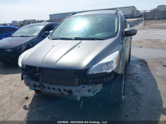 1FMCU0GX3EUE16012 Ford Escape