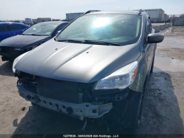 1FMCU0GX3EUE16012 Ford Escape