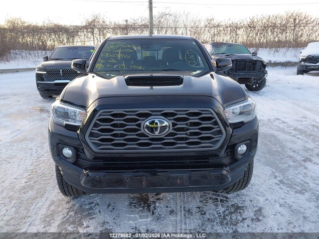 Продаж на аукціоні авто 2023 Toyota Tacoma Double Cab/sr5/trd Sport/trd Off Road, vin: 3TYDZ5BNXPT023844, номер лоту: 12279682