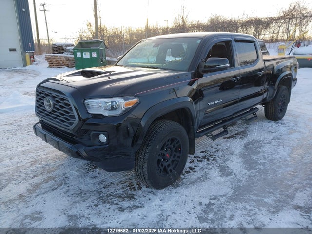 Продаж на аукціоні авто 2023 Toyota Tacoma Double Cab/sr5/trd Sport/trd Off Road, vin: 3TYDZ5BNXPT023844, номер лоту: 12279682