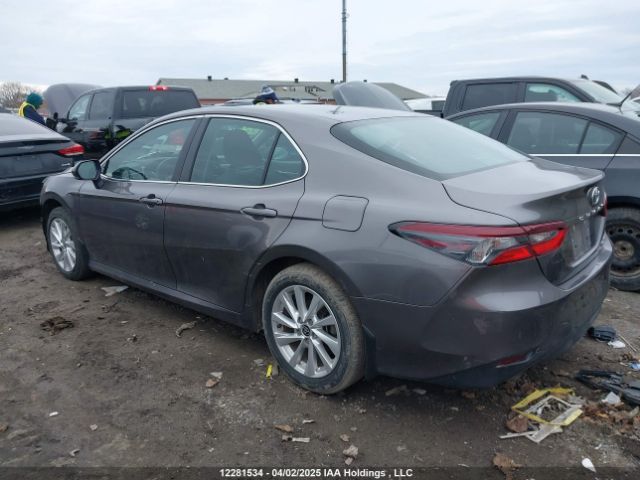 4T1C31AK0PU053256 Toyota CAMRY LE