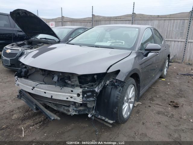 4T1C31AK0PU053256 Toyota CAMRY LE