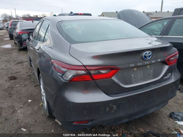 4T1C31AK0PU053256 Toyota CAMRY LE