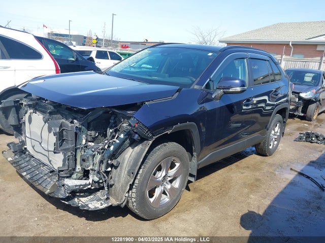 Toyota Rav4 Xle 2024 2T3R1RFV9RW446703 Image 2
