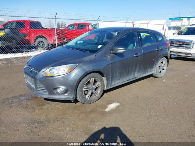 1FADP3K24EL385250 Ford Focus