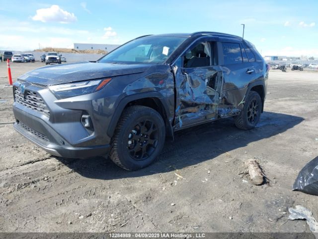 2T3DWRFV6RW227483 Toyota Rav4 Limited